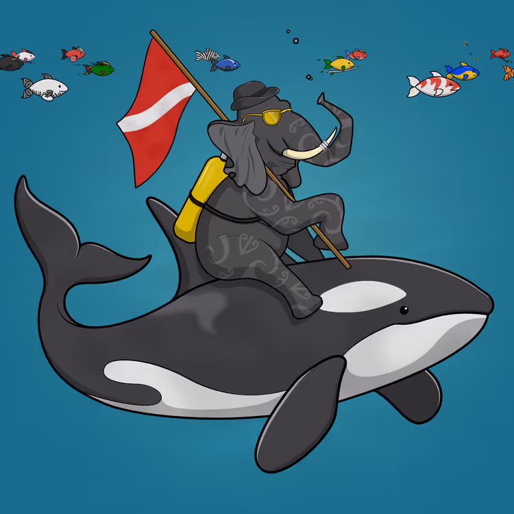 Ocean Racer #4137