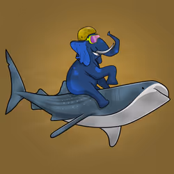Ocean Racer #11146