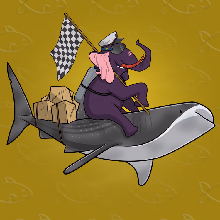 Ocean Racer #12921