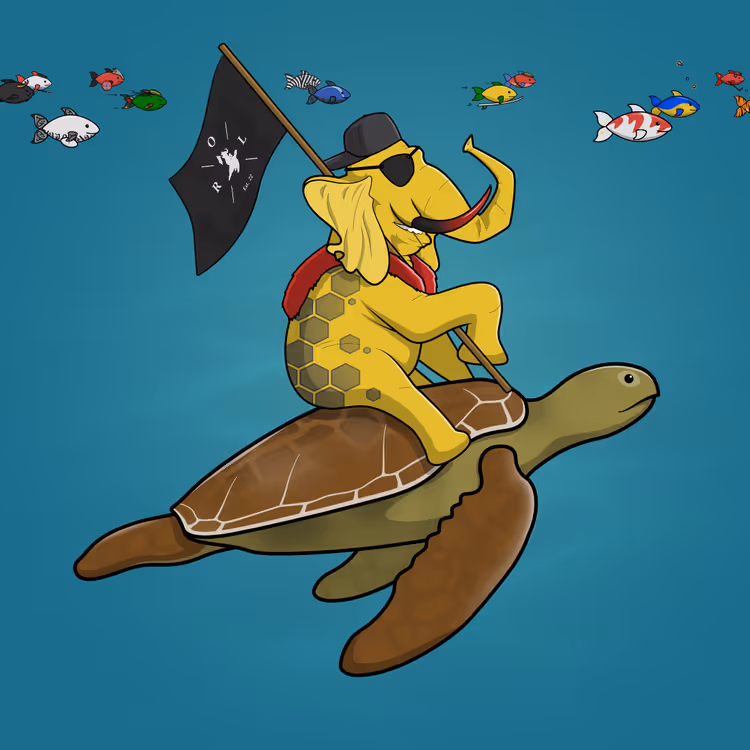 Ocean Racer #12436