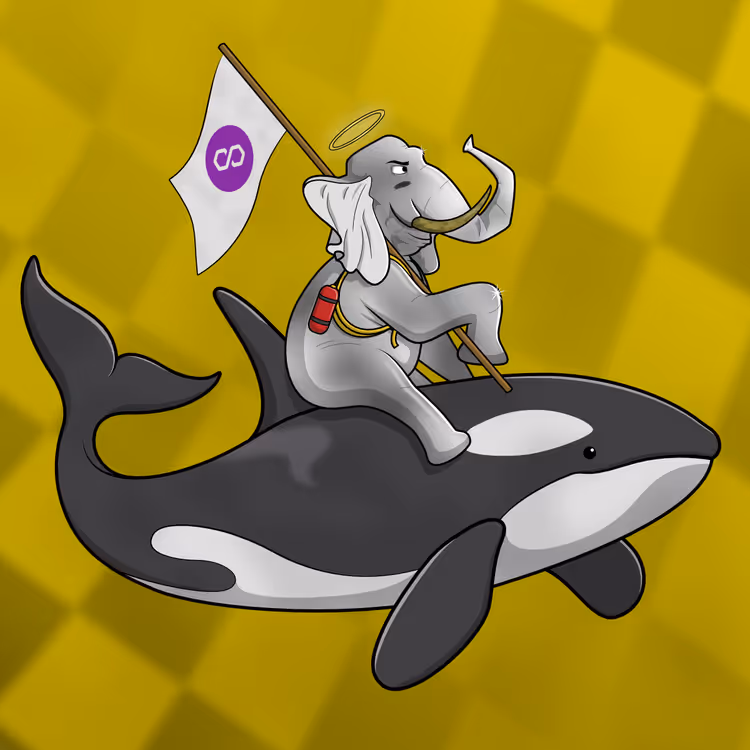 Ocean Racer #16477