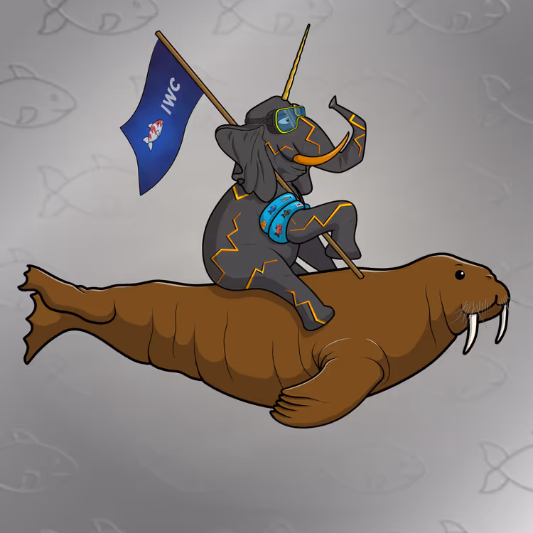 Ocean Racer #14027