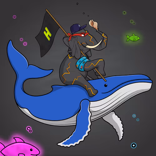 Ocean Racer #13047