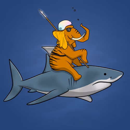 Ocean Racer #16786