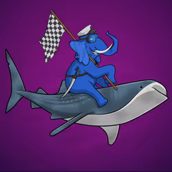 Ocean Racer #17002