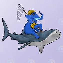 Ocean Racer #16353
