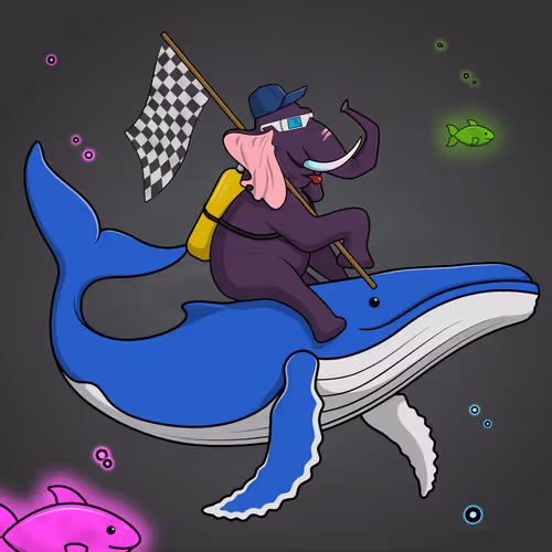 Ocean Racer #17048