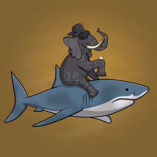 Ocean Racer #10062