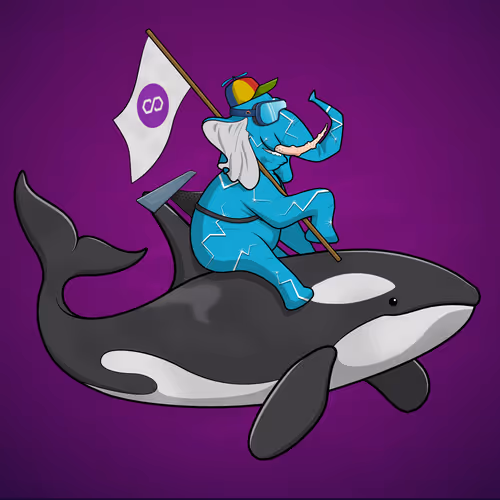 Ocean Racer #16772