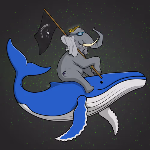 Ocean Racer #18469