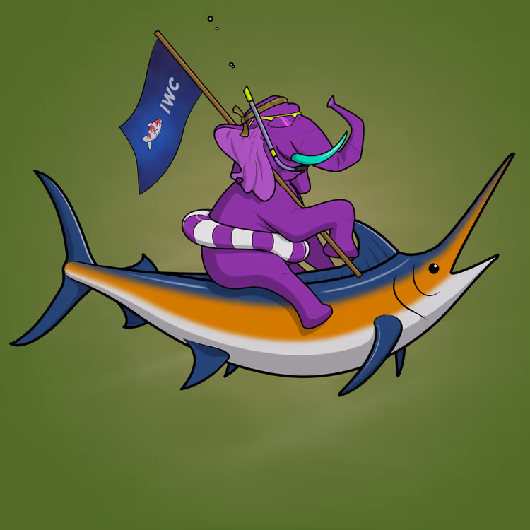 Ocean Racer #16928