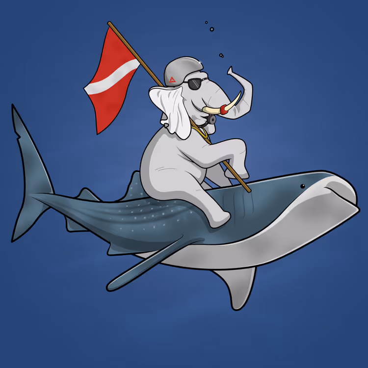 Ocean Racer #17173