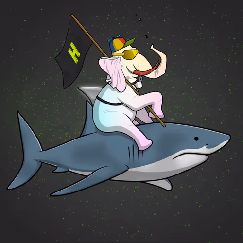 Ocean Racer #16021
