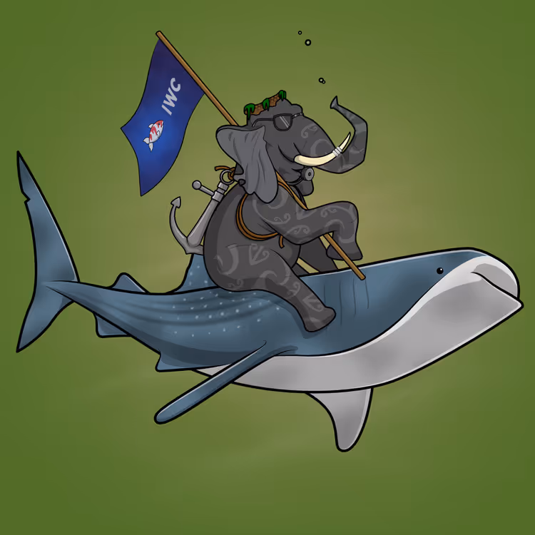 Ocean Racer #2212