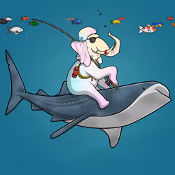 Ocean Racer #17811