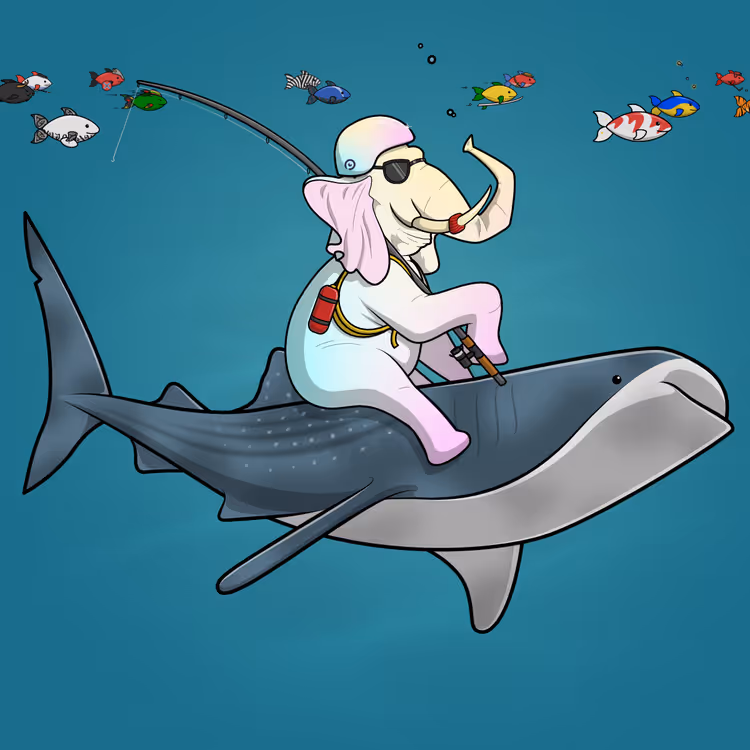 Ocean Racer #17811