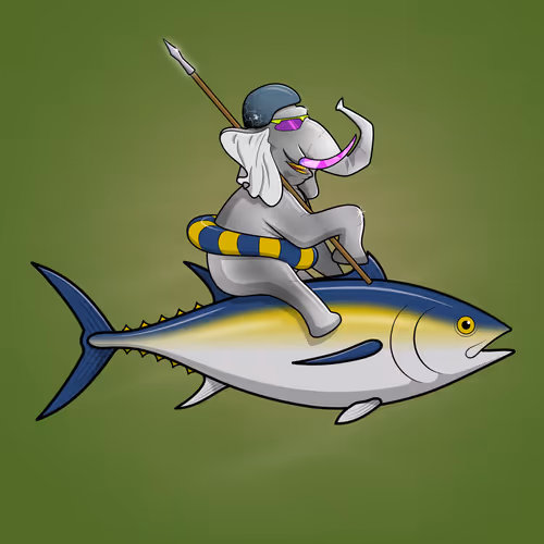 Ocean Racer #13151
