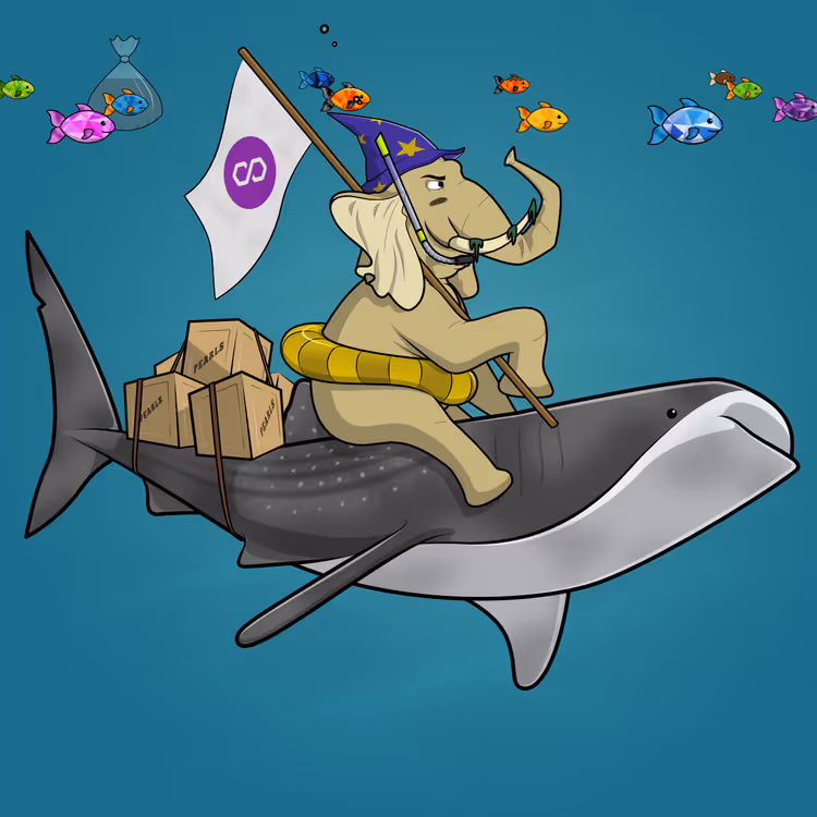 Ocean Racer #6982