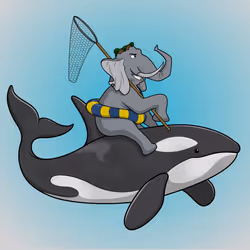 Ocean Racer #404