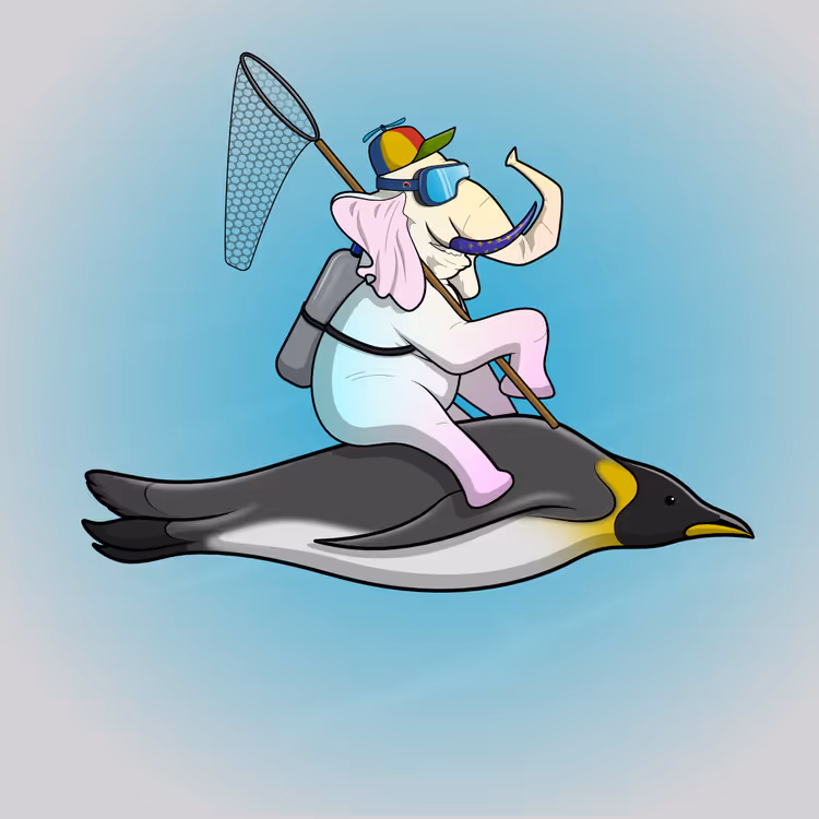 Ocean Racer #12631
