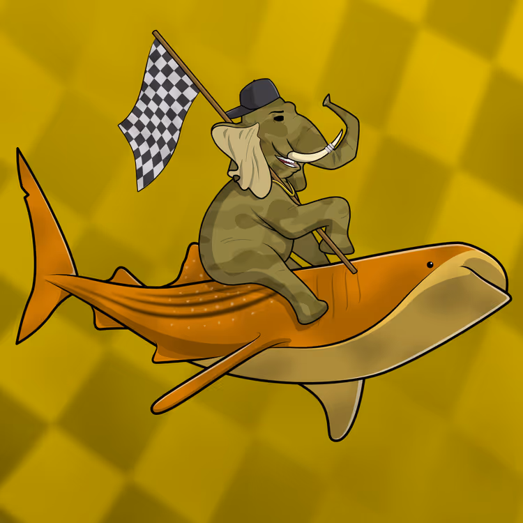Ocean Racer #14229
