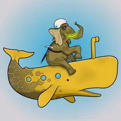 Ocean Racer #15727