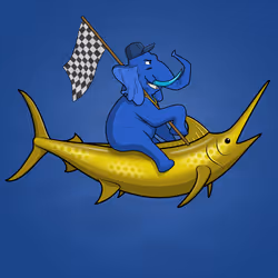 Ocean Racer #202