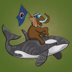 Ocean Racer #20984