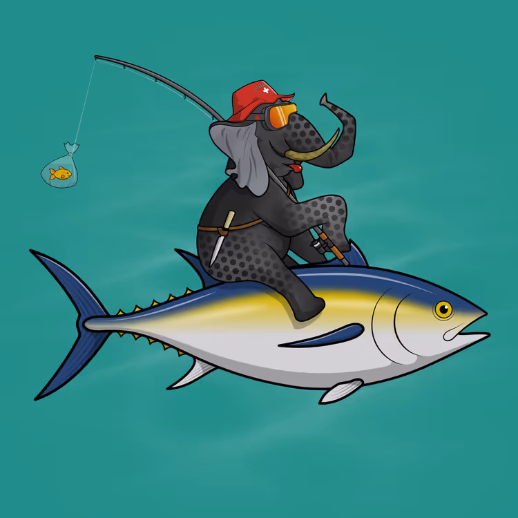 Ocean Racer #13427