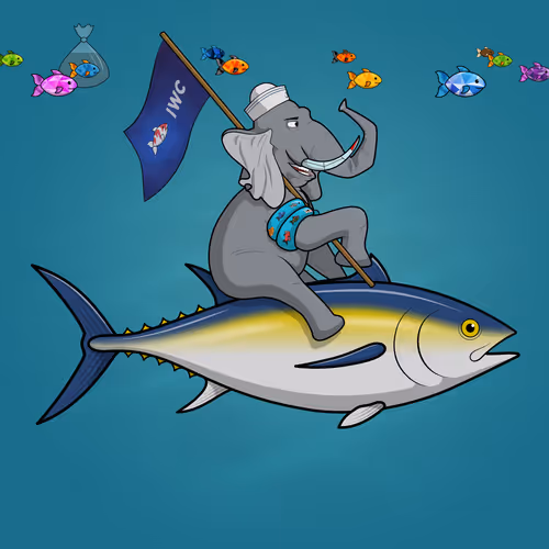 Ocean Racer #18284