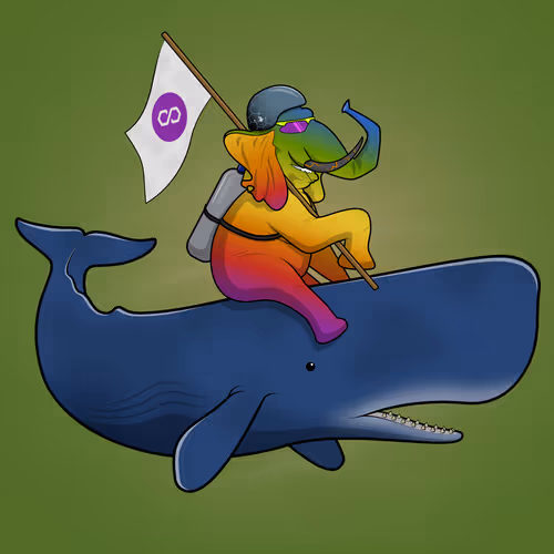 Ocean Racer #10952