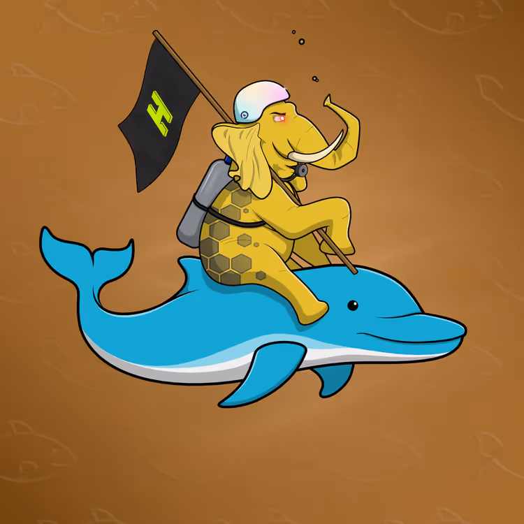 Ocean Racer #18006