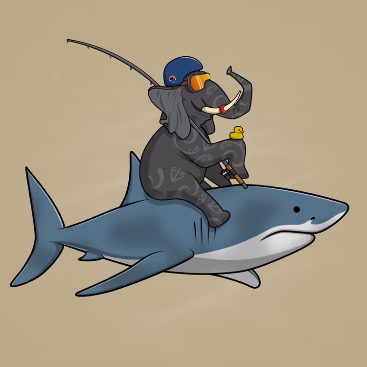 Ocean Racer #13584