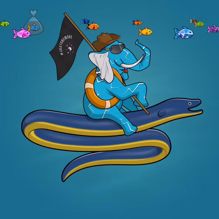 Ocean Racer #7658