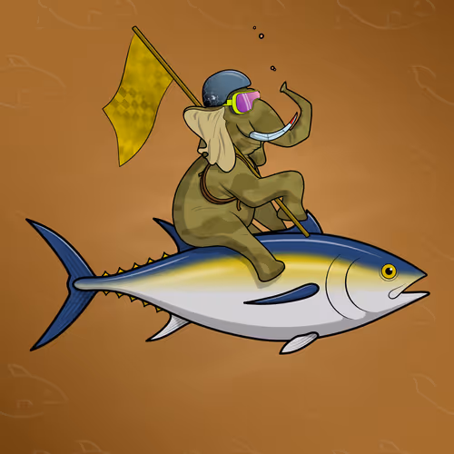 Ocean Racer #12948