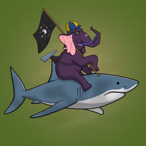 Ocean Racer #13976