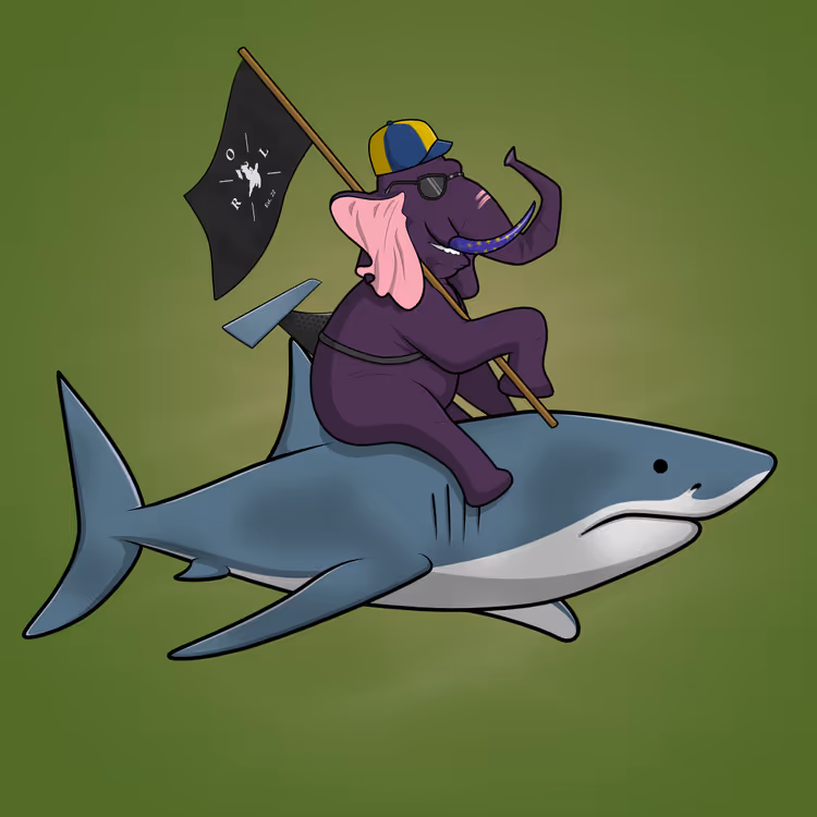 Ocean Racer #13976