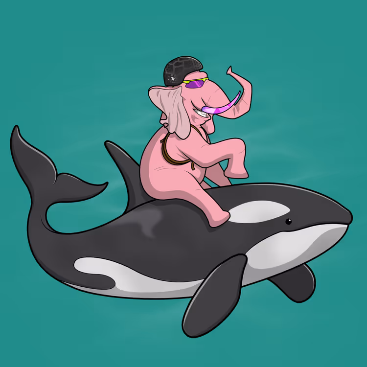 Ocean Racer #7936