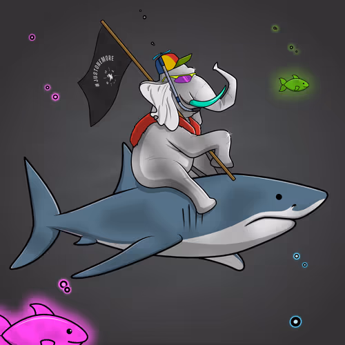 Ocean Racer #15606