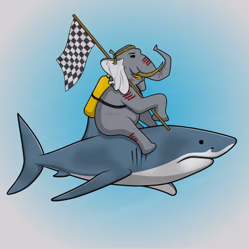Ocean Racer #15590