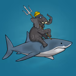 Ocean Racer #7423