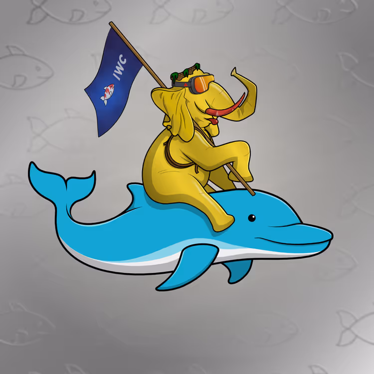 Ocean Racer #17886