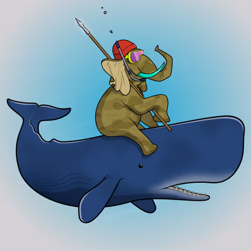 Ocean Racer #10590