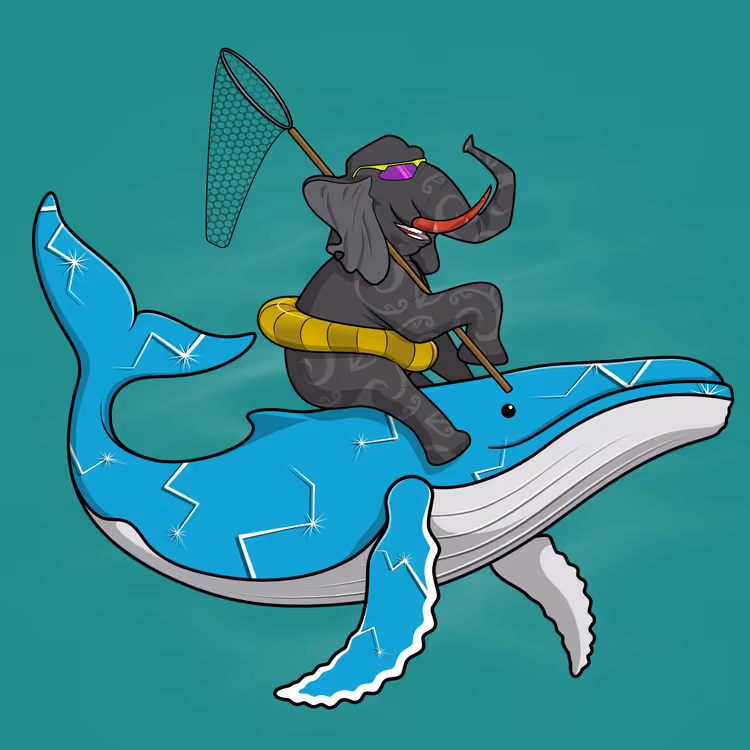 Ocean Racer #138