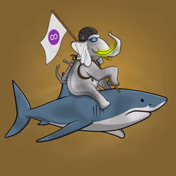Ocean Racer #17751