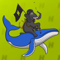 Ocean Racer #17419