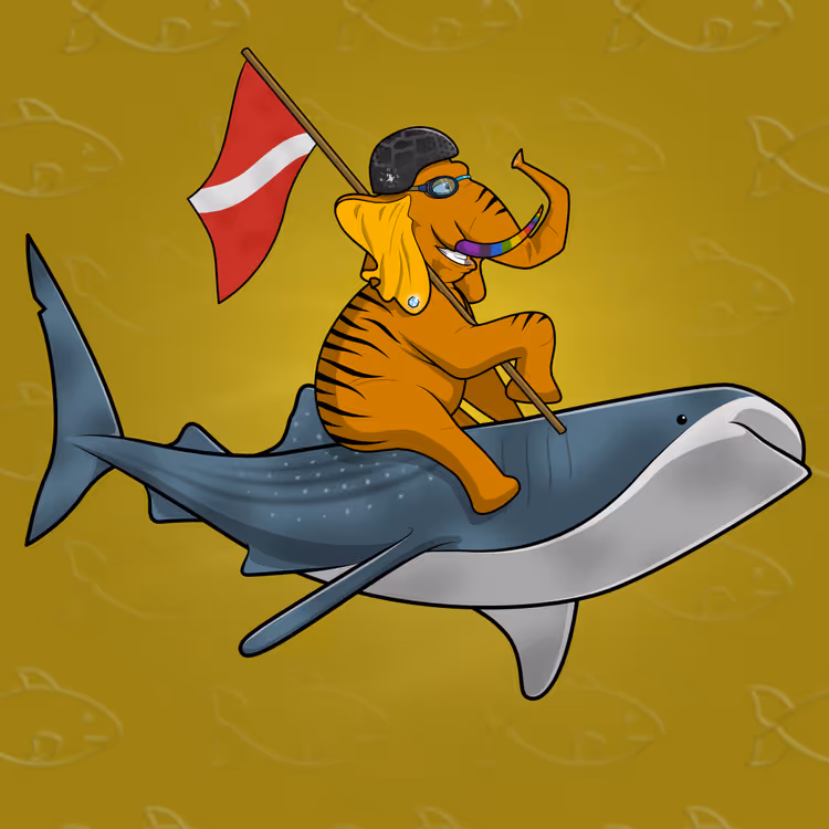 Ocean Racer #9899