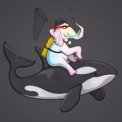 Ocean Racer #15084