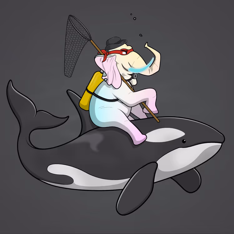 Ocean Racer #15084