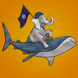 Ocean Racer #13879